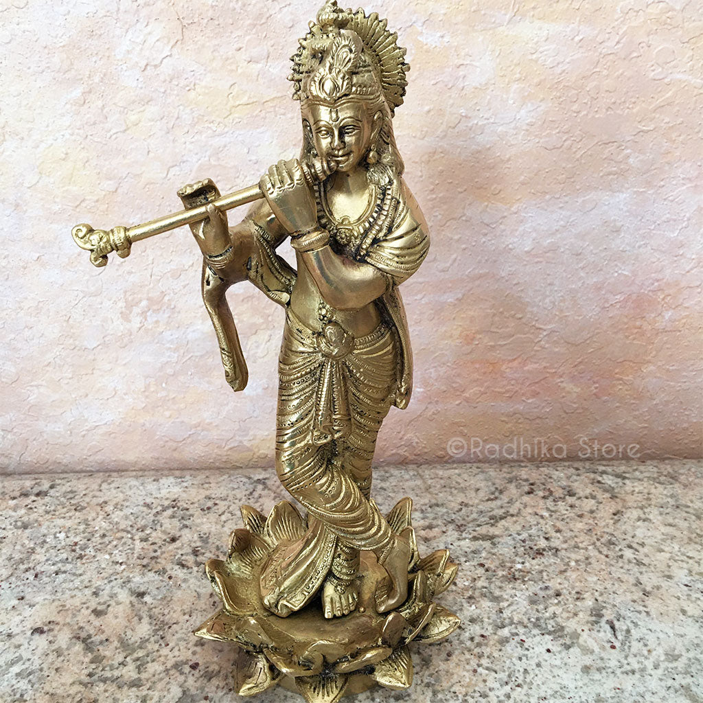 Mirabai Krishna - Deity/Murti - Brass 11.5" Inch