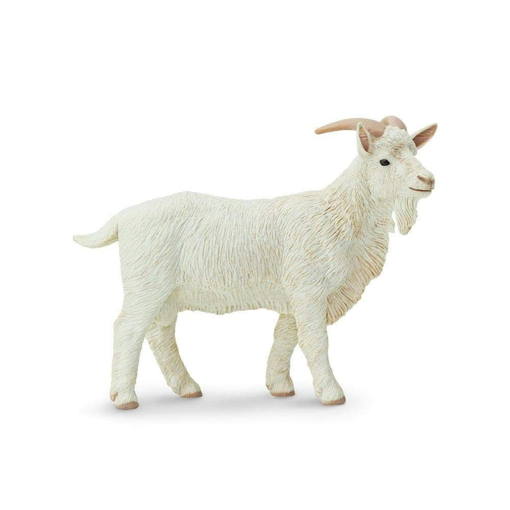 Govardhan Goat