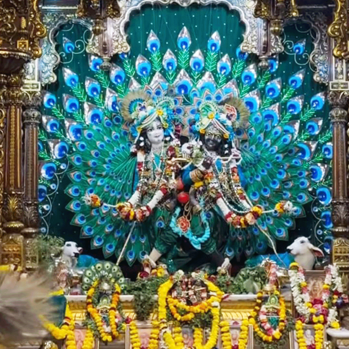 Peacock Dance - Green - Silk - Gaura Nitai Deity Outfit