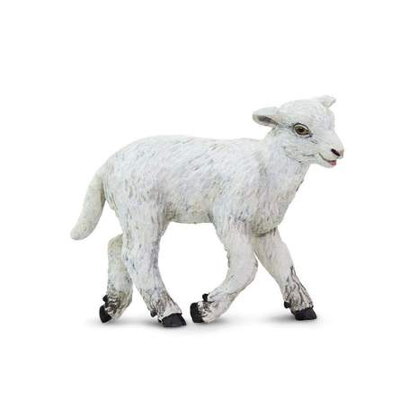 Gopal's Baby Lamb