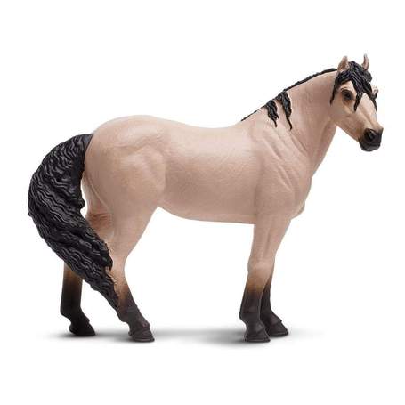 Taliban Forest Horse