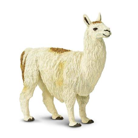 Utah Llama