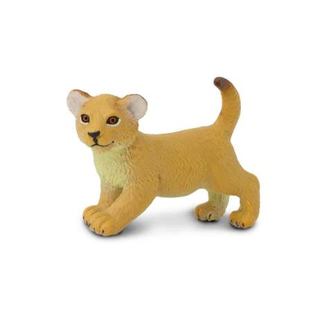 Baby Simha - Lion Cub