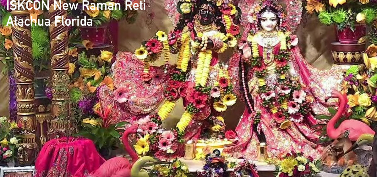 Exotic Water Birds - Set Of Two - Select Kind