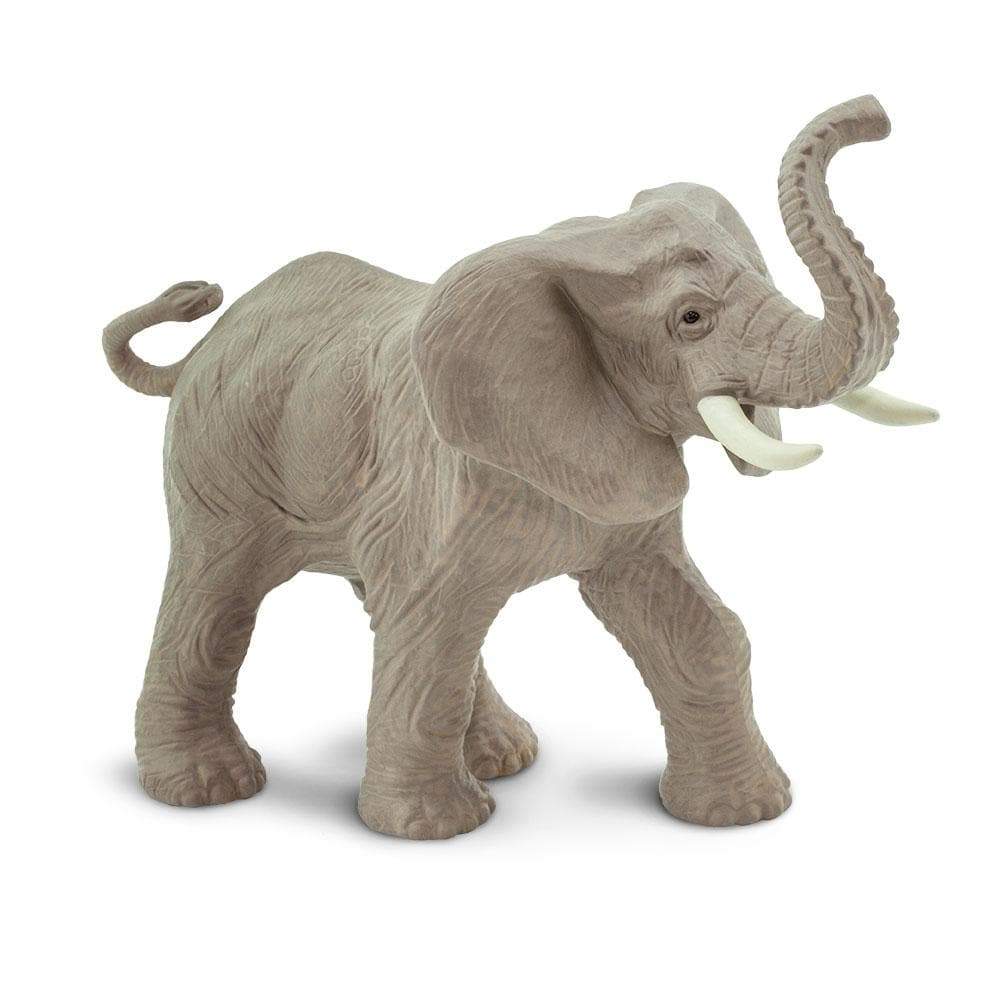 Forest Elephant