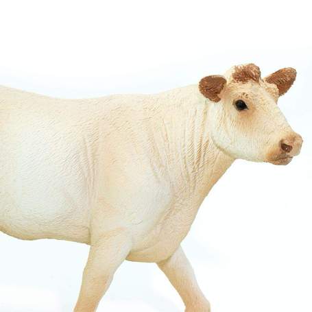 Vrindavan Cow