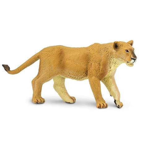 Safari Lion
