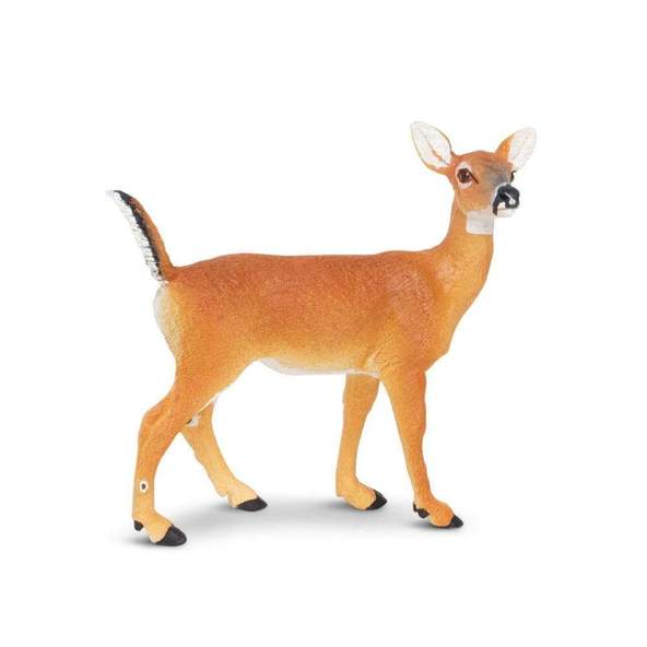 Ramanreti Deer