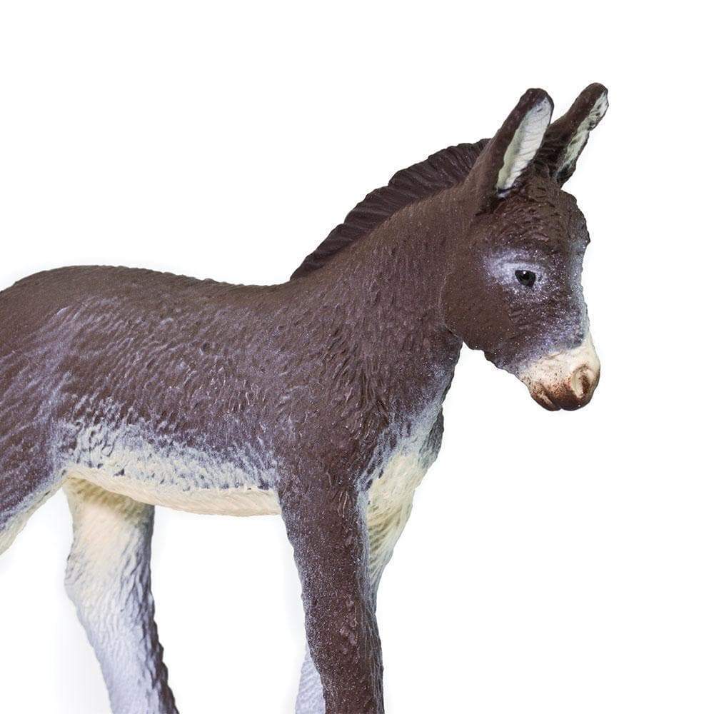 Govardhana Donkey
