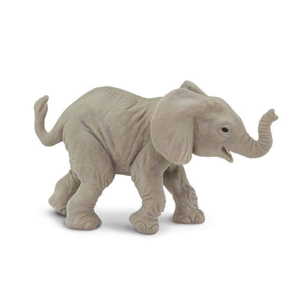 Gopalas Baby elephant