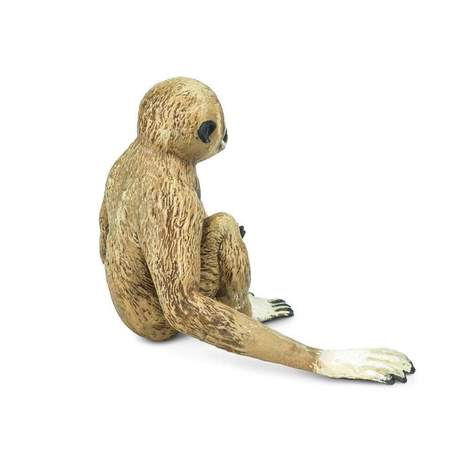 Vrindavan Long Arm Monkey