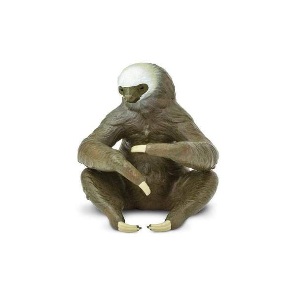 Forest Sloth