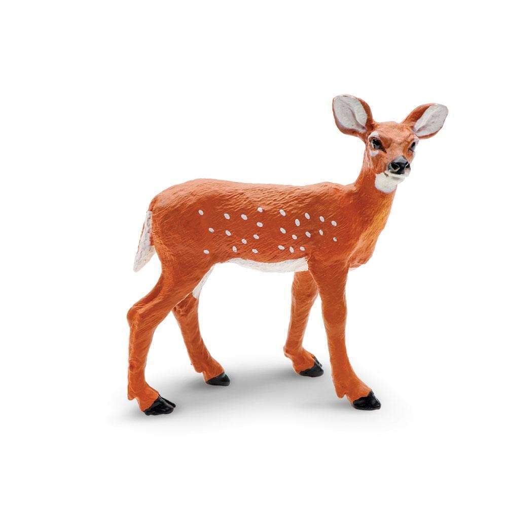 Radharanies pet doe Named Rangini