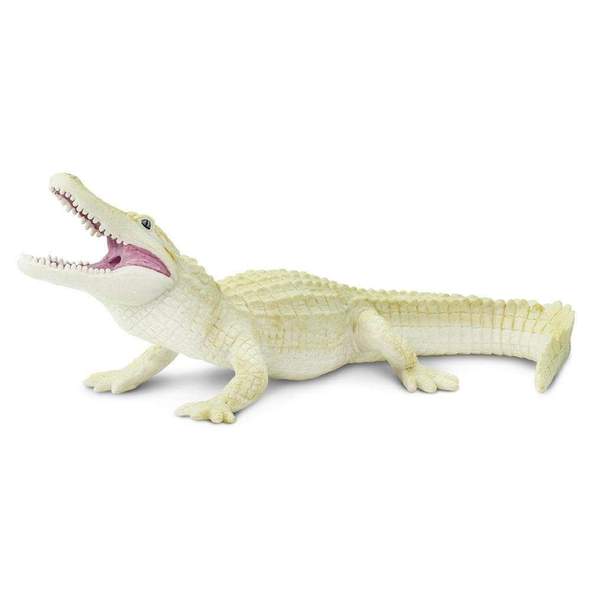 Ganga's Alligator 