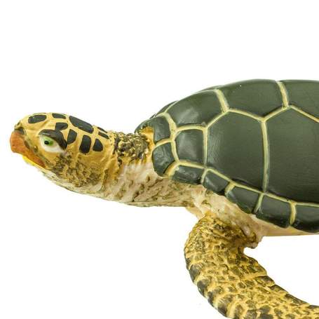 RadhaKund Turtle - 3.5&quot;