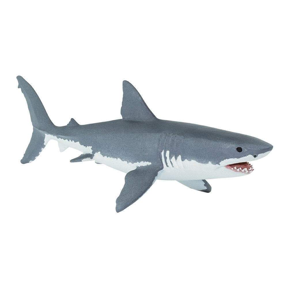 Krishna is The Shark - Underwater Pastimes