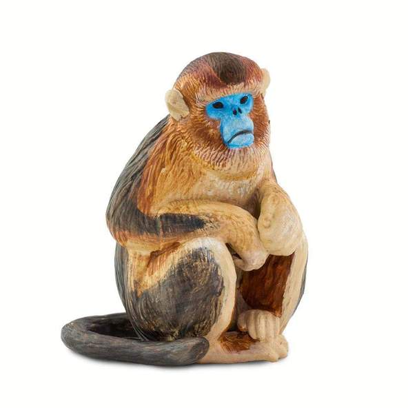 Krishna's Blue Face Monkey