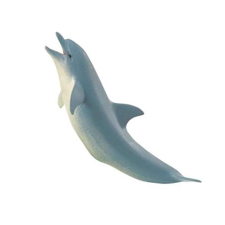 Dolphin from Heaven