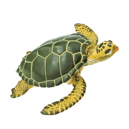 RadhaKund Turtle - 3.5"
