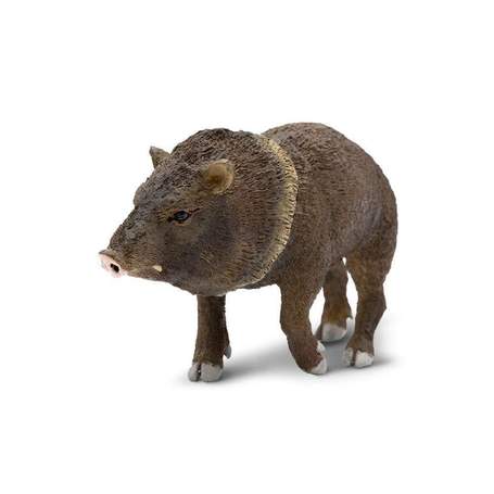 Hog of Vrindavan