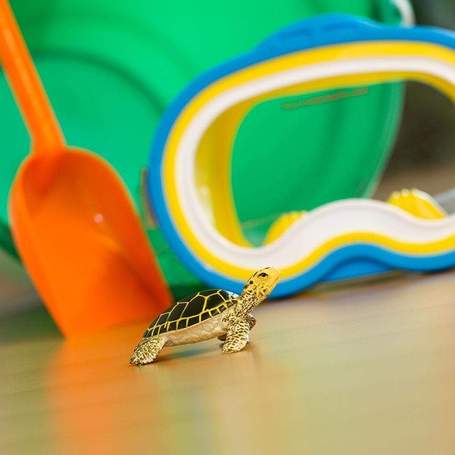 RadhaKund Turtle - 2.5&quot;