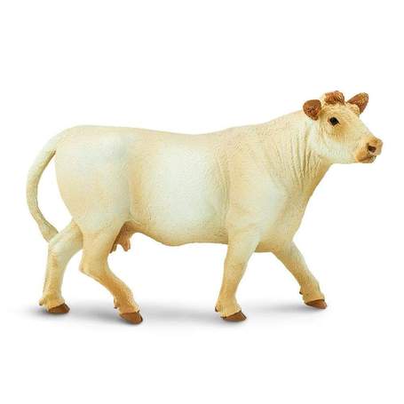 Vrindavan Cow