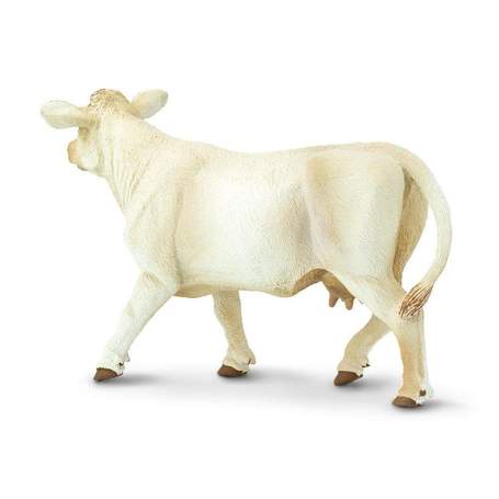 Vrindavan Cow