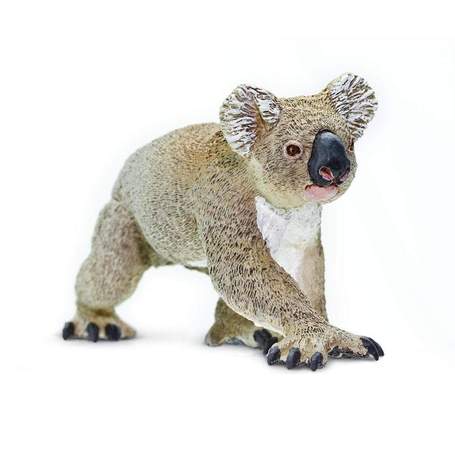 Koala Bear