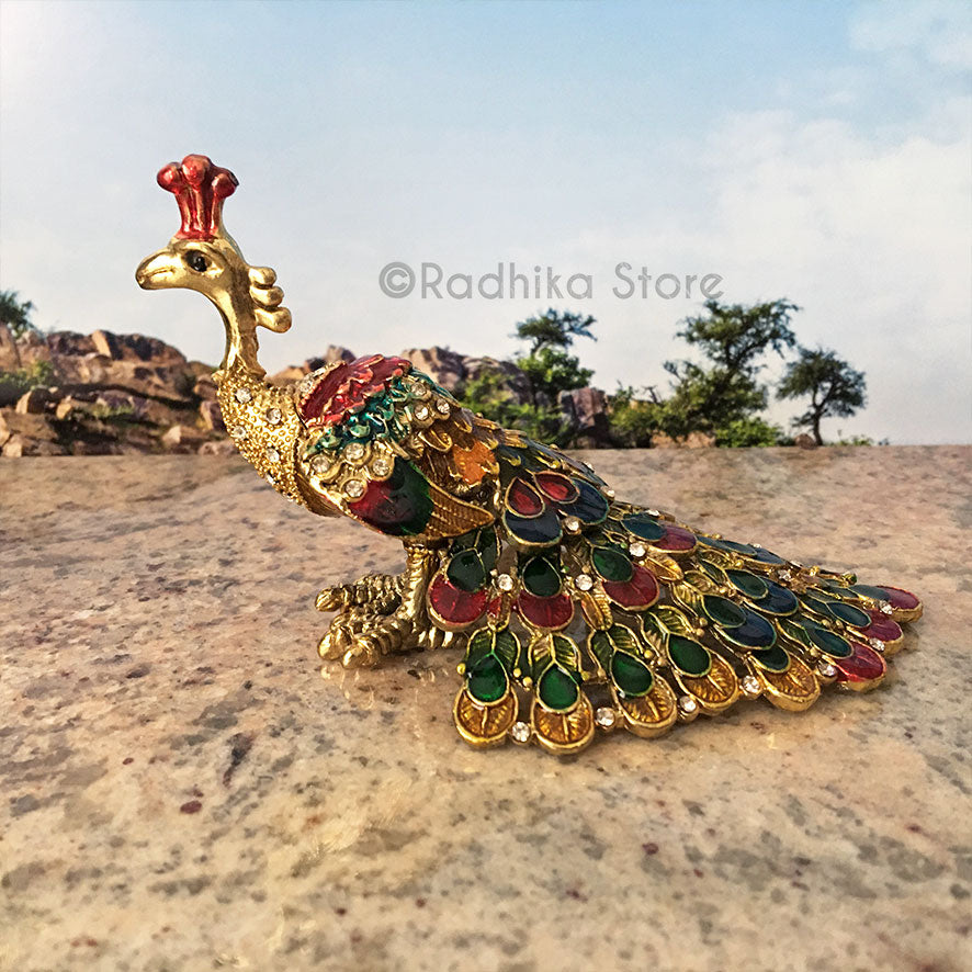 Funny Peacocks With Hidden Treasure - Choose Color