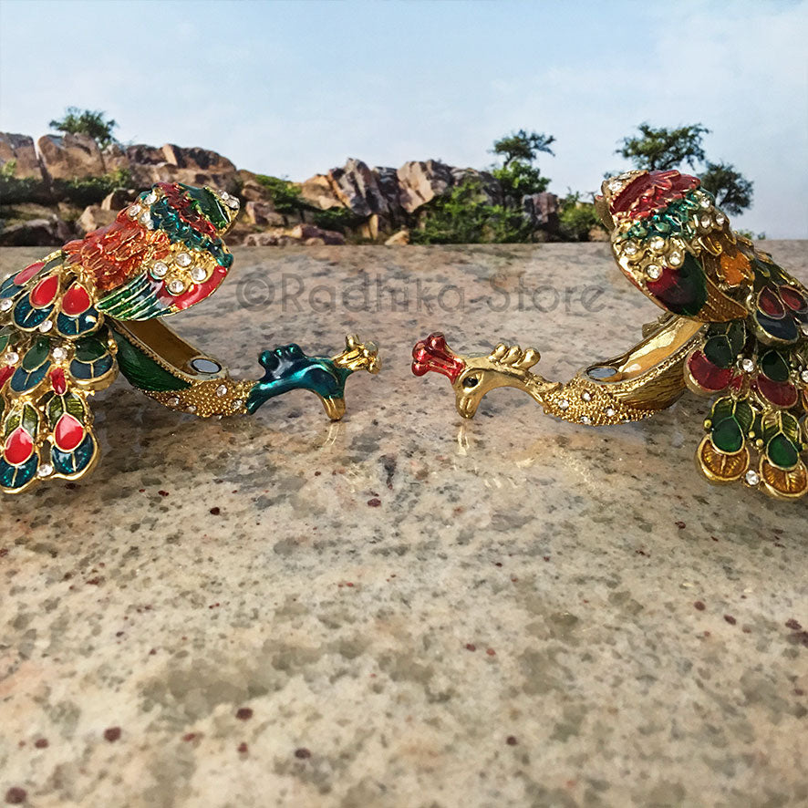 Funny Peacocks With Hidden Treasure - Choose Color