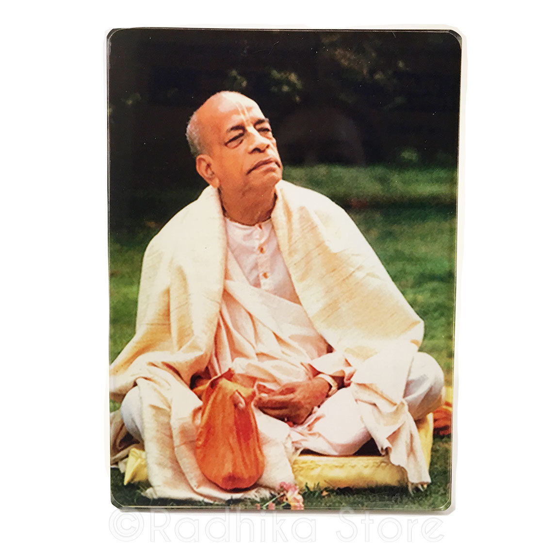 Srila Prabhupada In The Park Acrylic Picture- Choose Size