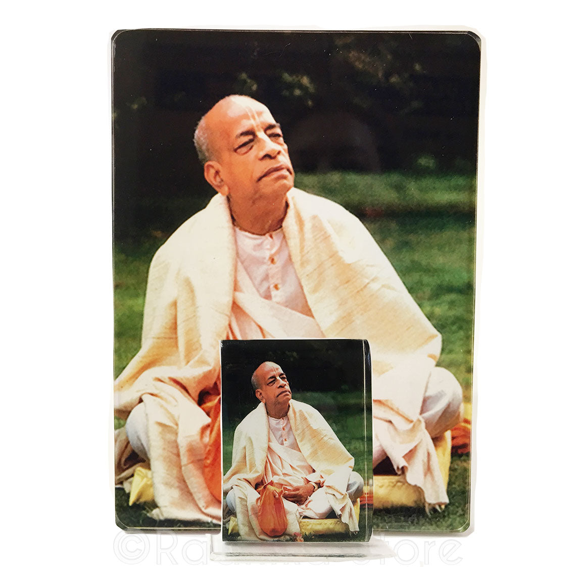Srila Prabhupada In The Park Acrylic Picture- Choose Size
