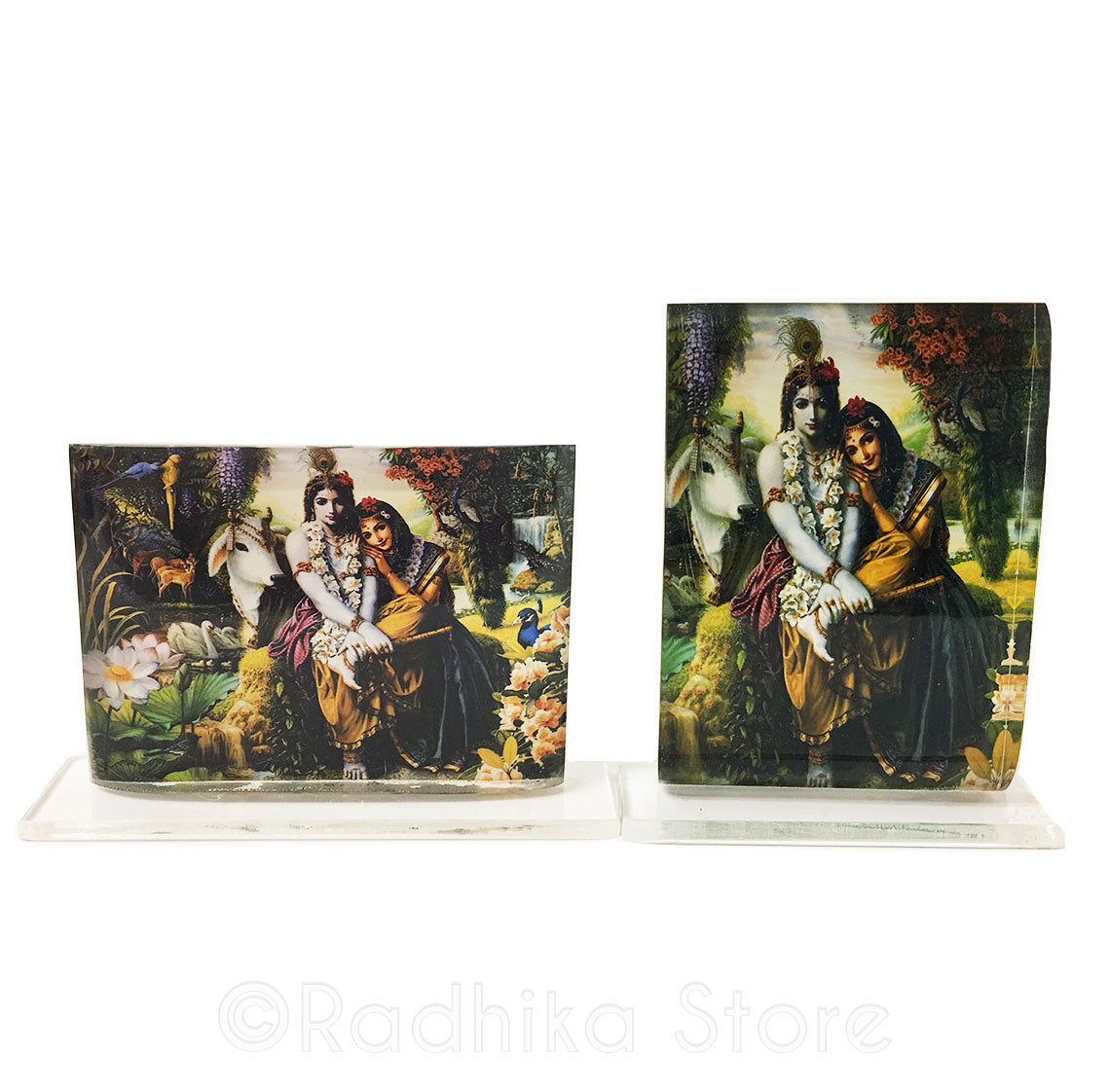 The All Attractive Couple Acrylic Picture