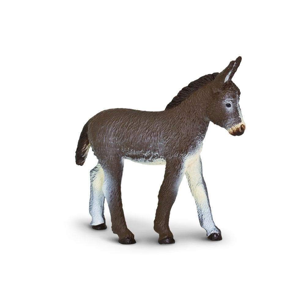 Govardhana Donkey
