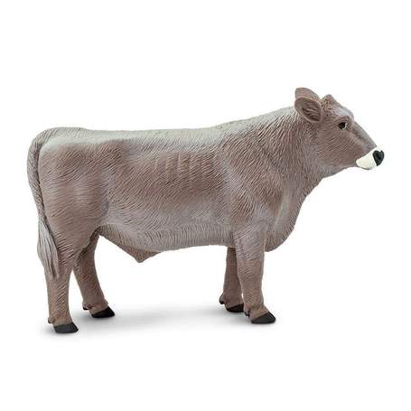 Gita Nagari Brown Swiss Bull