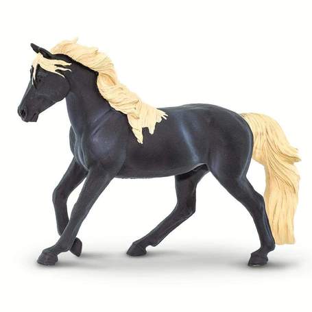 Himalayan Mountain Horse