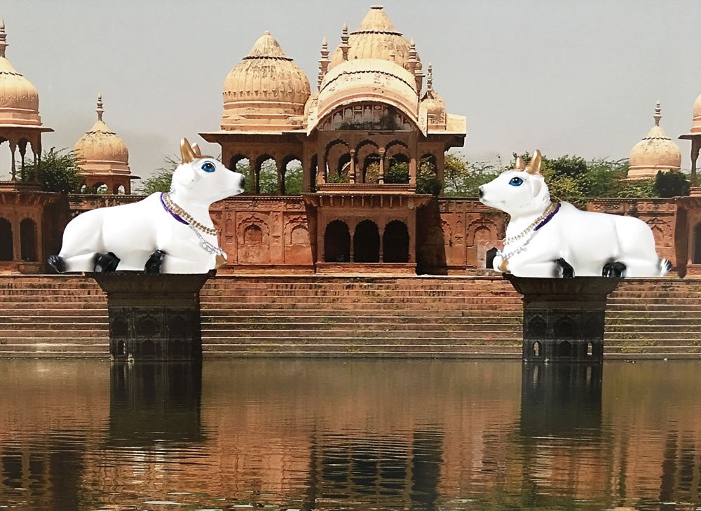 Small Surabhi Altar Cows Set Sitting 2&quot; Inches