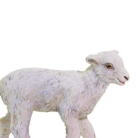 Gopal&#39;s Baby Lamb
