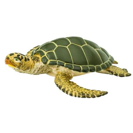 RadhaKund Turtle - 3.5&quot;