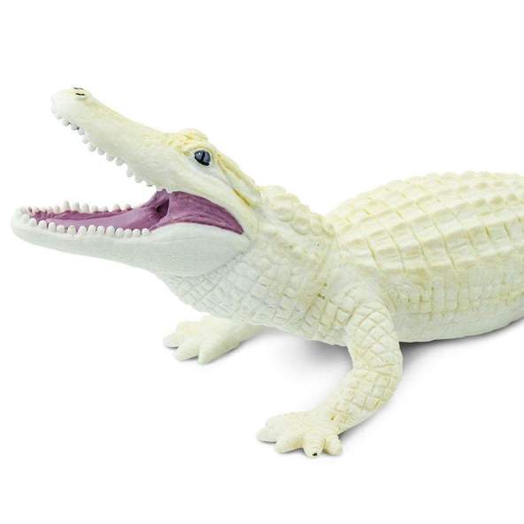 Ganga&#39;s Alligator 