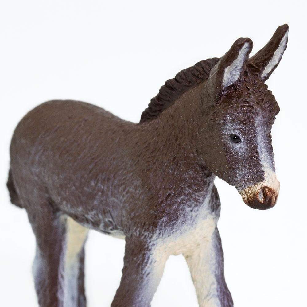 Govardhana Donkey