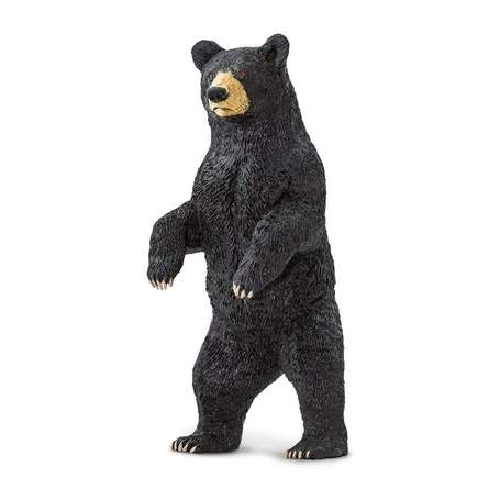 Jambavan Black Bear
