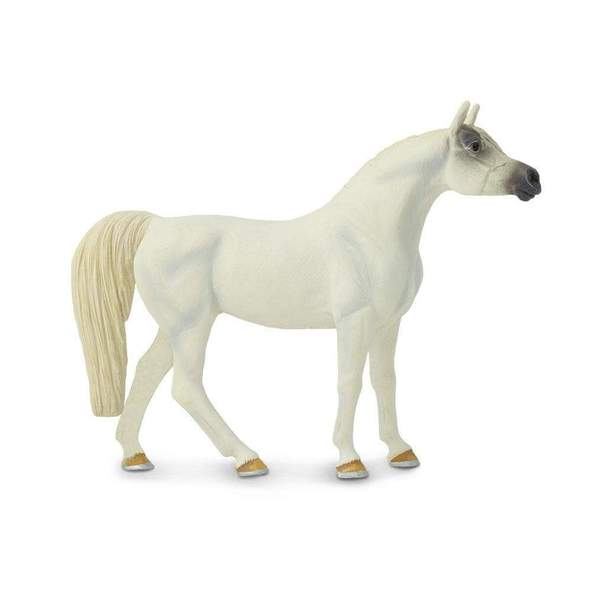 White Dwarka Horse