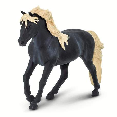 Himalayan Mountain Horse