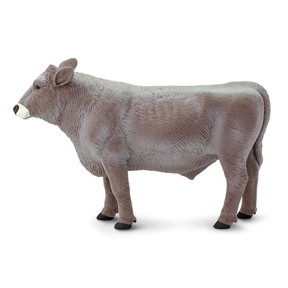 Gita Nagari Brown Swiss Bull