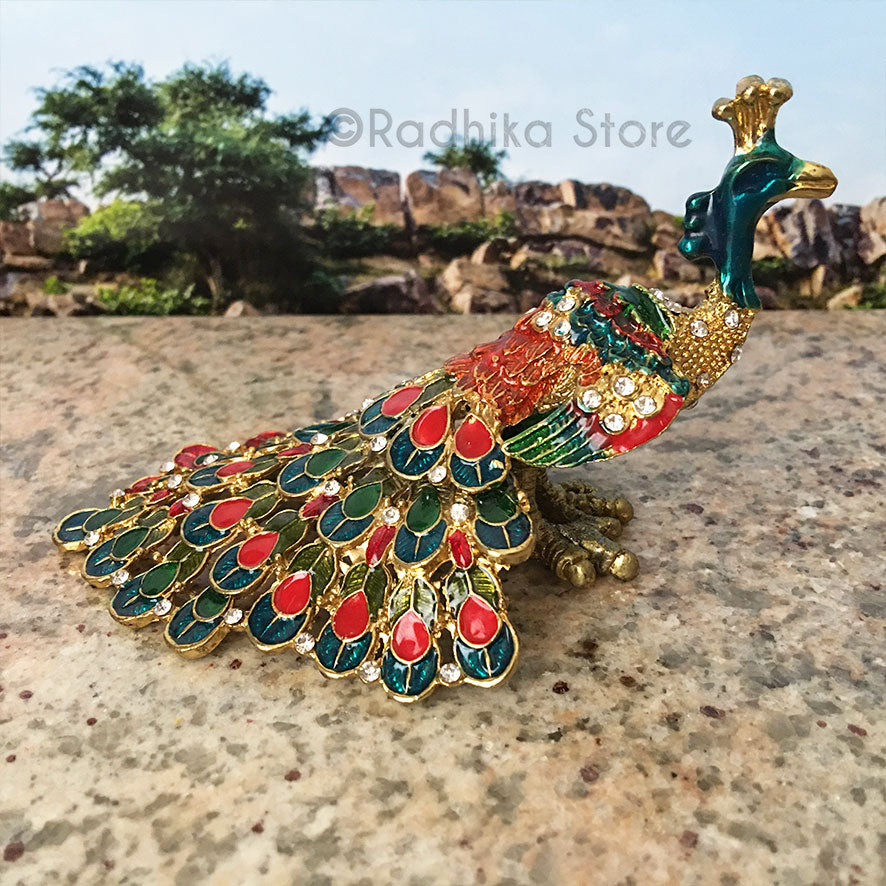 Funny Peacocks With Hidden Treasure - Choose Color