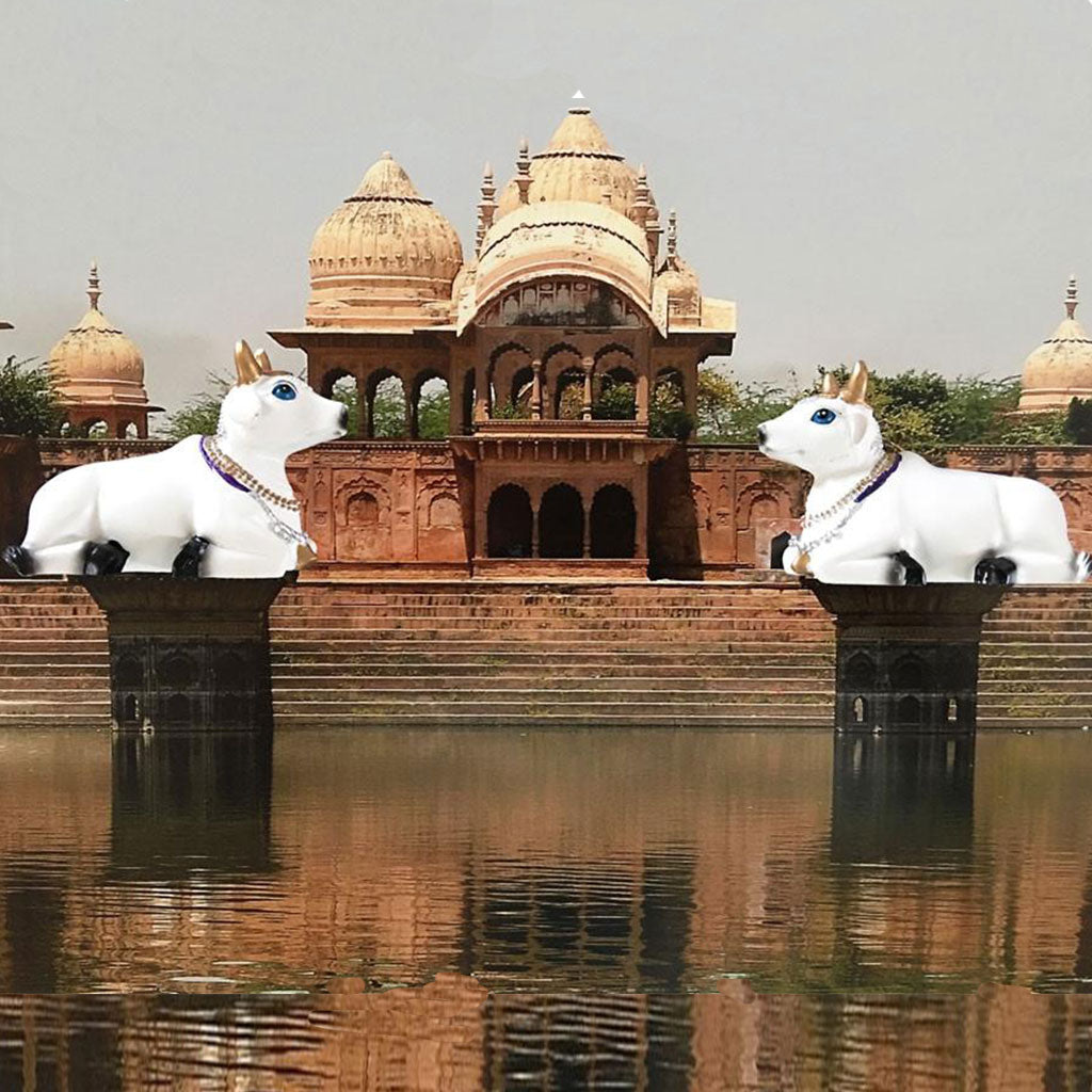 Small Surabhi Altar Cows Set Sitting 2" Inches