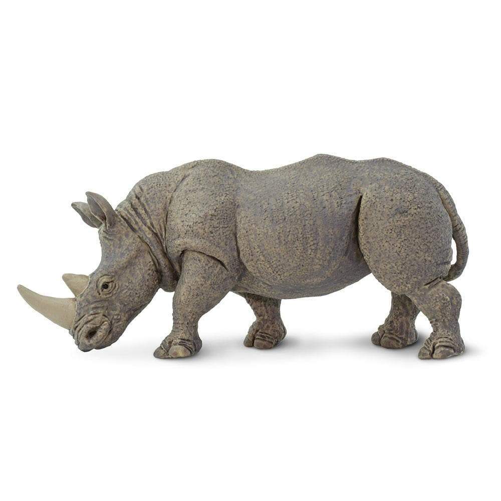 Chasing Rhinos